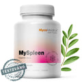 MycoMedica MySpleen 90 rastlinných kapsúl