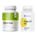 Set Cordyceps PRO MycoMedica 90 kapsúl a magnézium (horčík) CaliVita MagneZi B6 90 tabliet