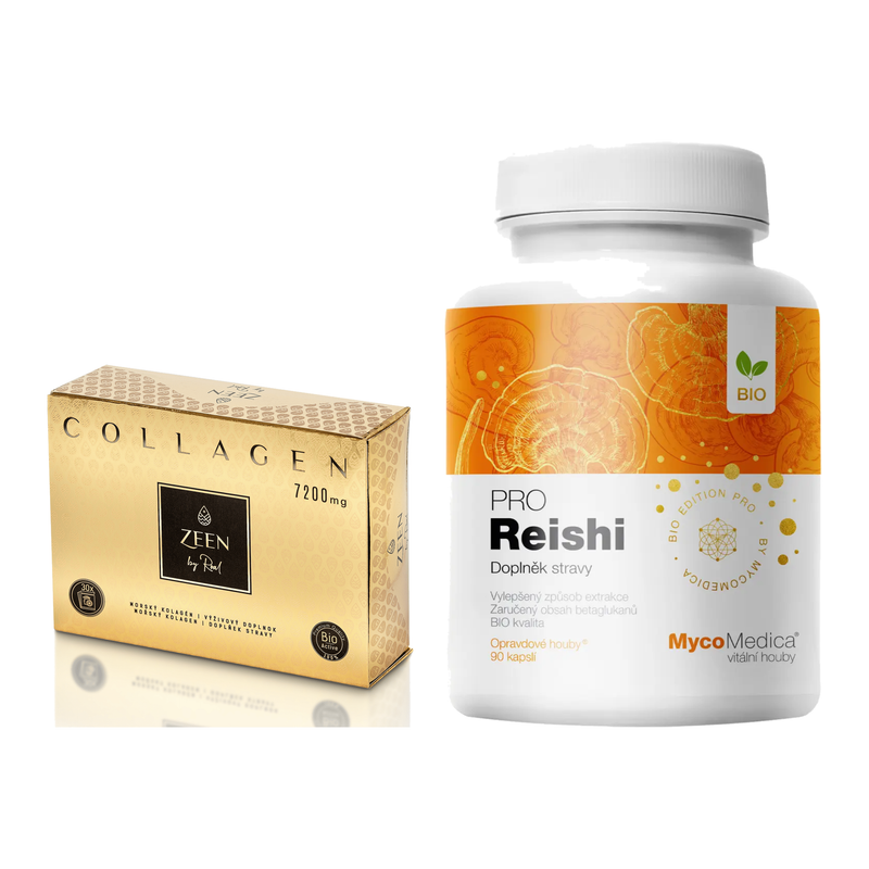 set-zeen-lemon-reishi-99